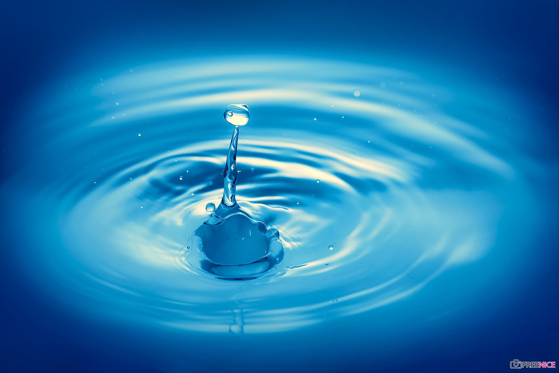 80 Giọt Nước Trên Lá  ảnh Thiên Nhiên miễn phí  Pixabay