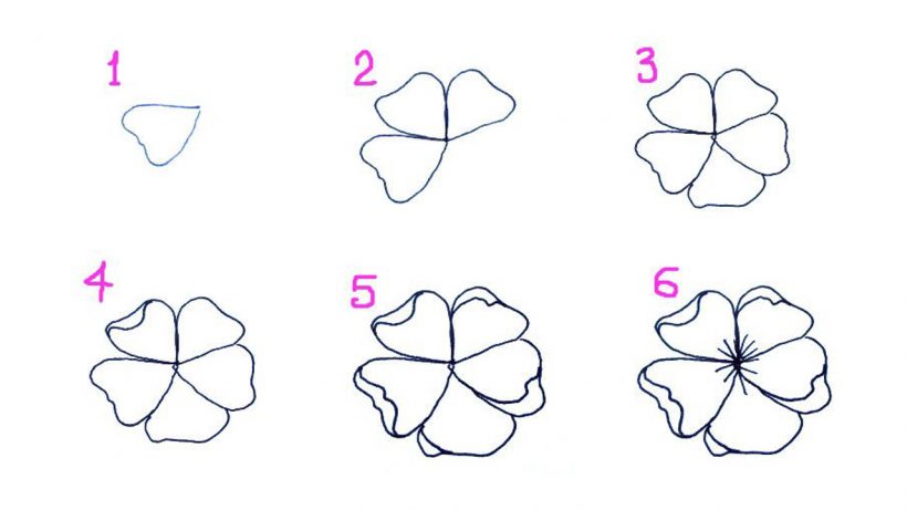 Hình vẽ hoa Anh Đào, cách vẽ hoa Anh Đào dễ nhất