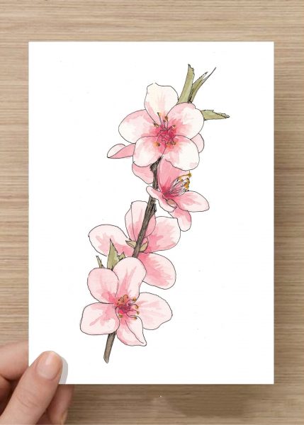 Tranh vẽ hoa Anh Đào Nhật Bản