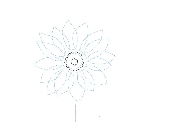 Vẽ các hình bán nguyệt xung quanh vòng tròn nhỏ để tạo cấu trúc giống với hoa