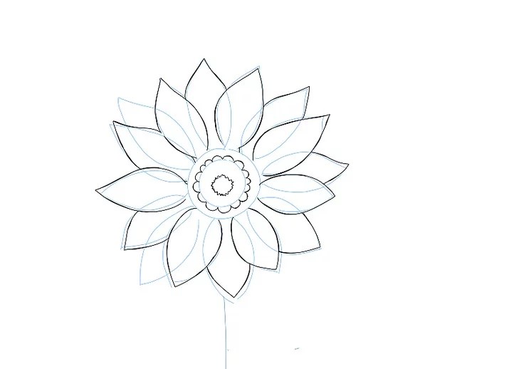 Vẽ chi tiết cánh hoa