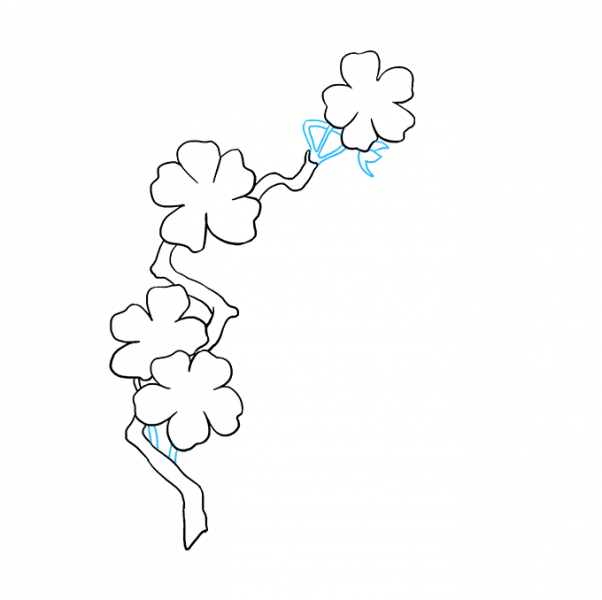 Vẽ cuống hoa