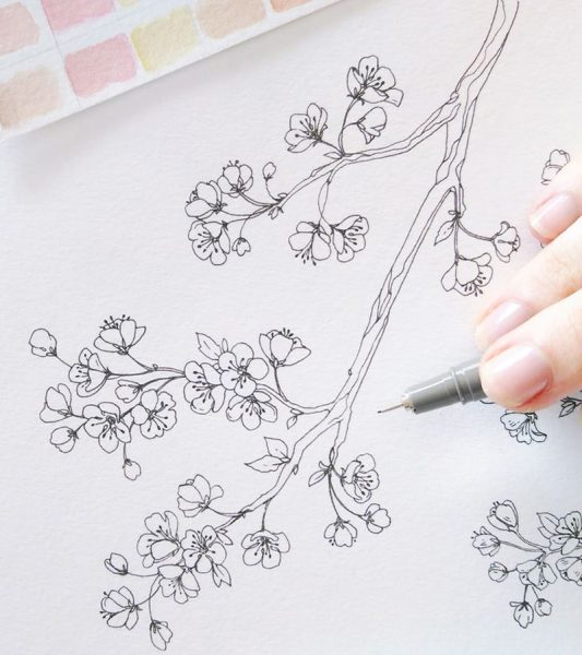 Vẽ hoa Anh Đào bằng bút chì