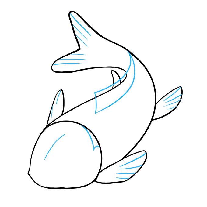 Hình Vẽ Cá Chép, Cách Vẽ Cá Chép Đẹp, Ấn Tượng Nhất