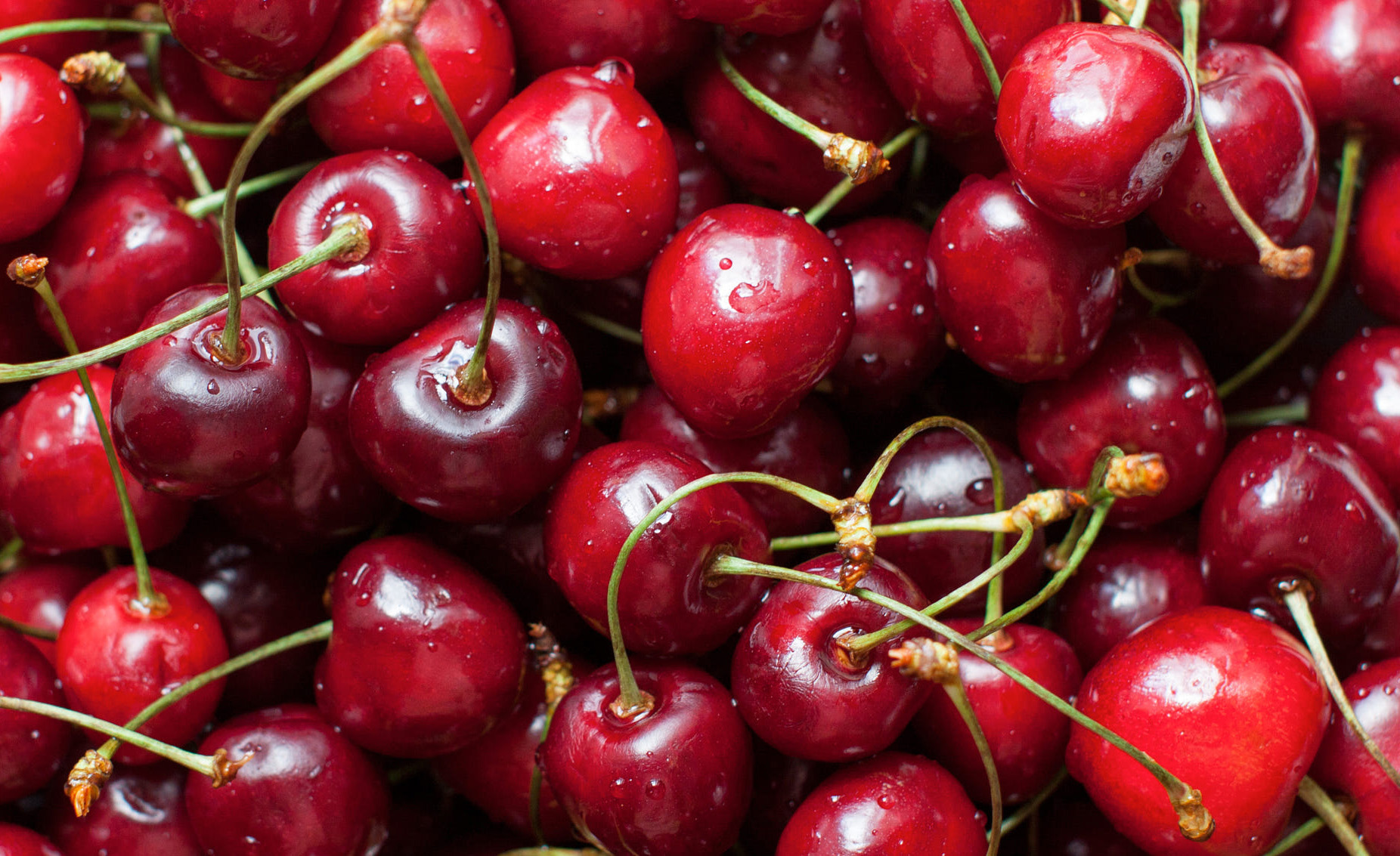 Trong quả cherry có 1 bộ phận cực độc Khi ăn phải cẩn thận lược bỏ nếu  không có thể gây ngộ độc nặng dẫn đến tử vong