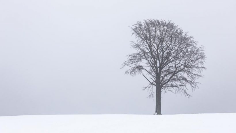 hình nền tối giản minimalist mùa đông