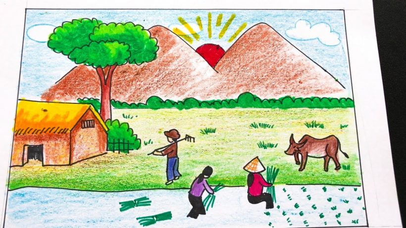 Vẽ tranh đề tài cuộc sống quanh em cấy lúa ở nông thôn