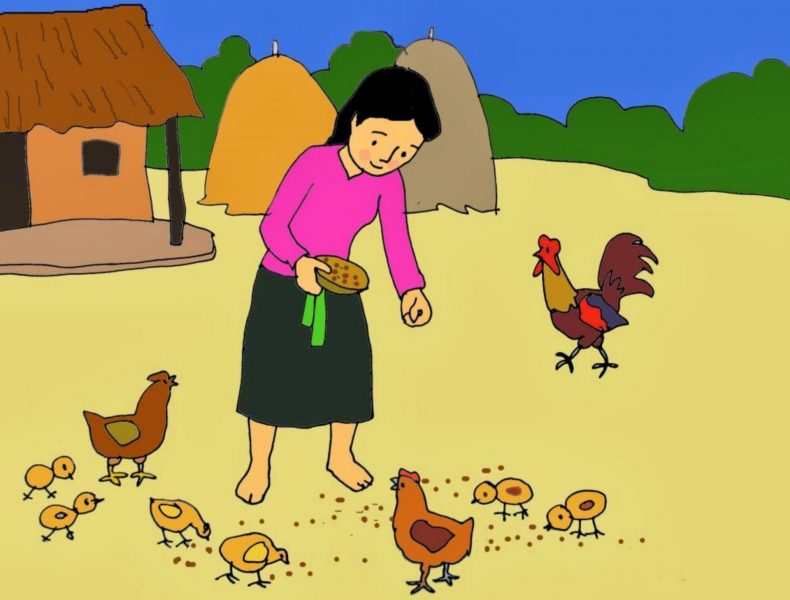 Vẽ tranh về mẹ đang cho gà ăn